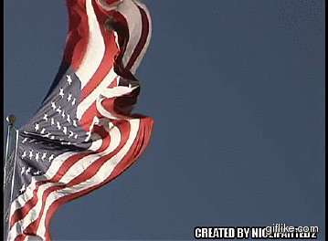 american_flag_waving_in_wind_by_niceifarted2-d9fi08c.gif