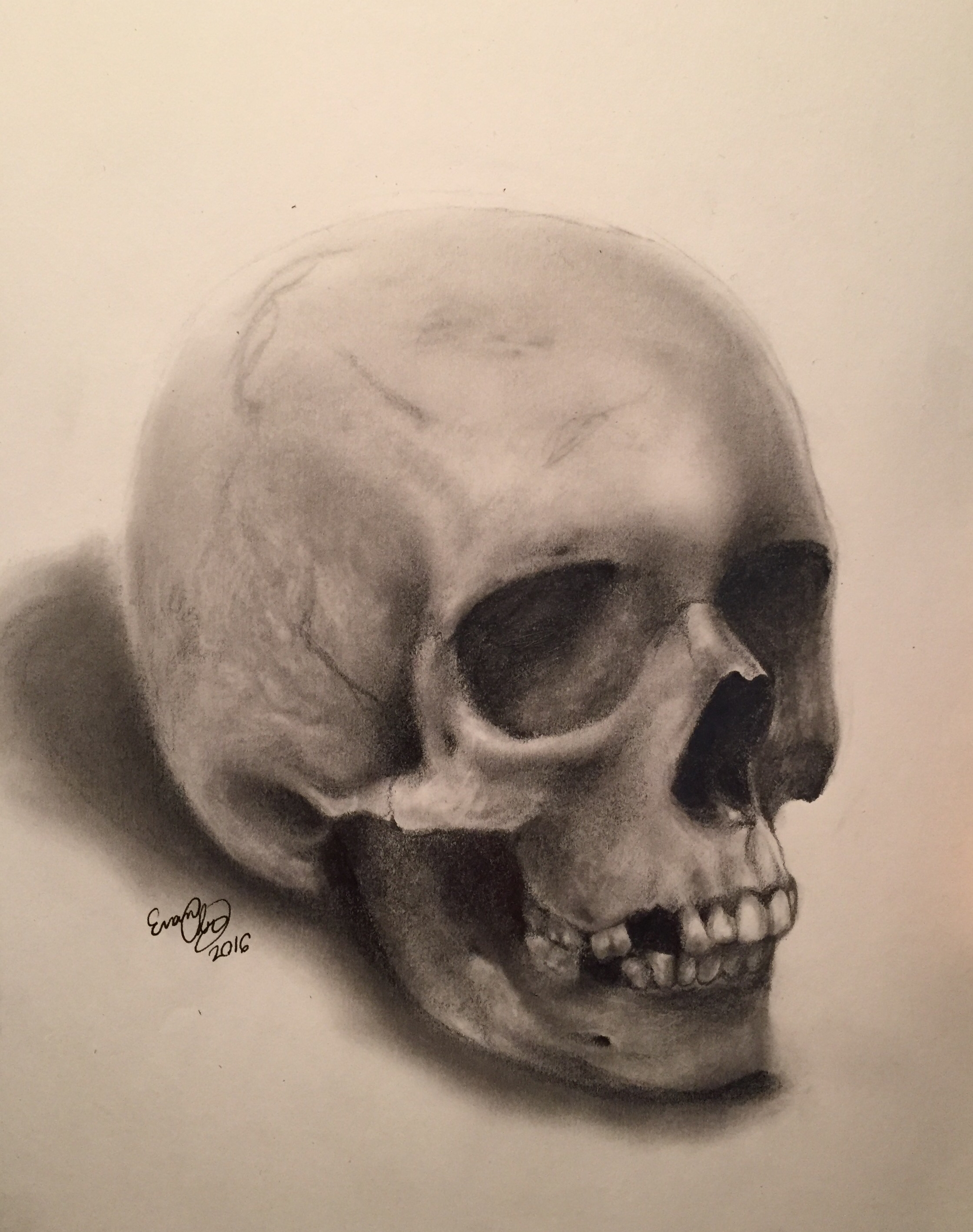 Skull pencil drawing by evanartt on DeviantArt
