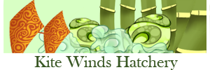 kite_winds_hatchery_by_rebellious_mixtapes-dcmp828.png