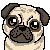 pug_icon_by_woolnoon-d8tet33.png