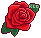 Red Rose (Meaning: Love and Romance)