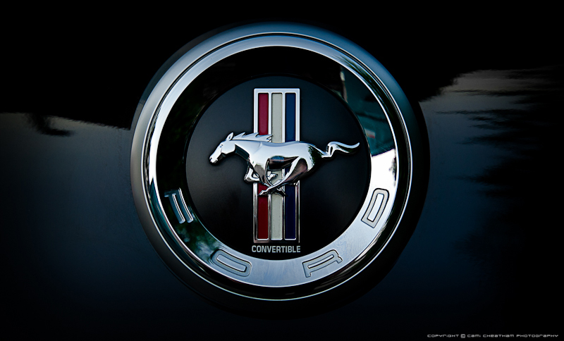 Ford Mustang Logo by Shelagnoa on DeviantArt