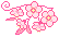 cherry blossoms g