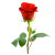 Rose icon.7