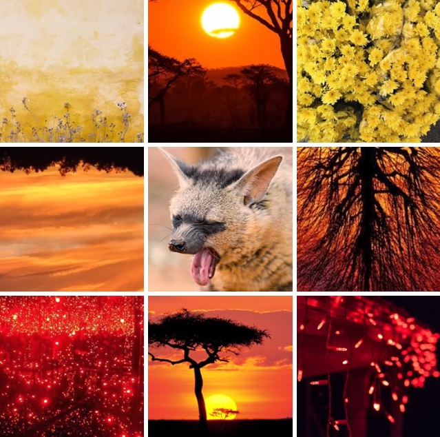 [Image: aardwolf_aesthetic_board_by_sungryeong_ie-dcb86d0.jpg]