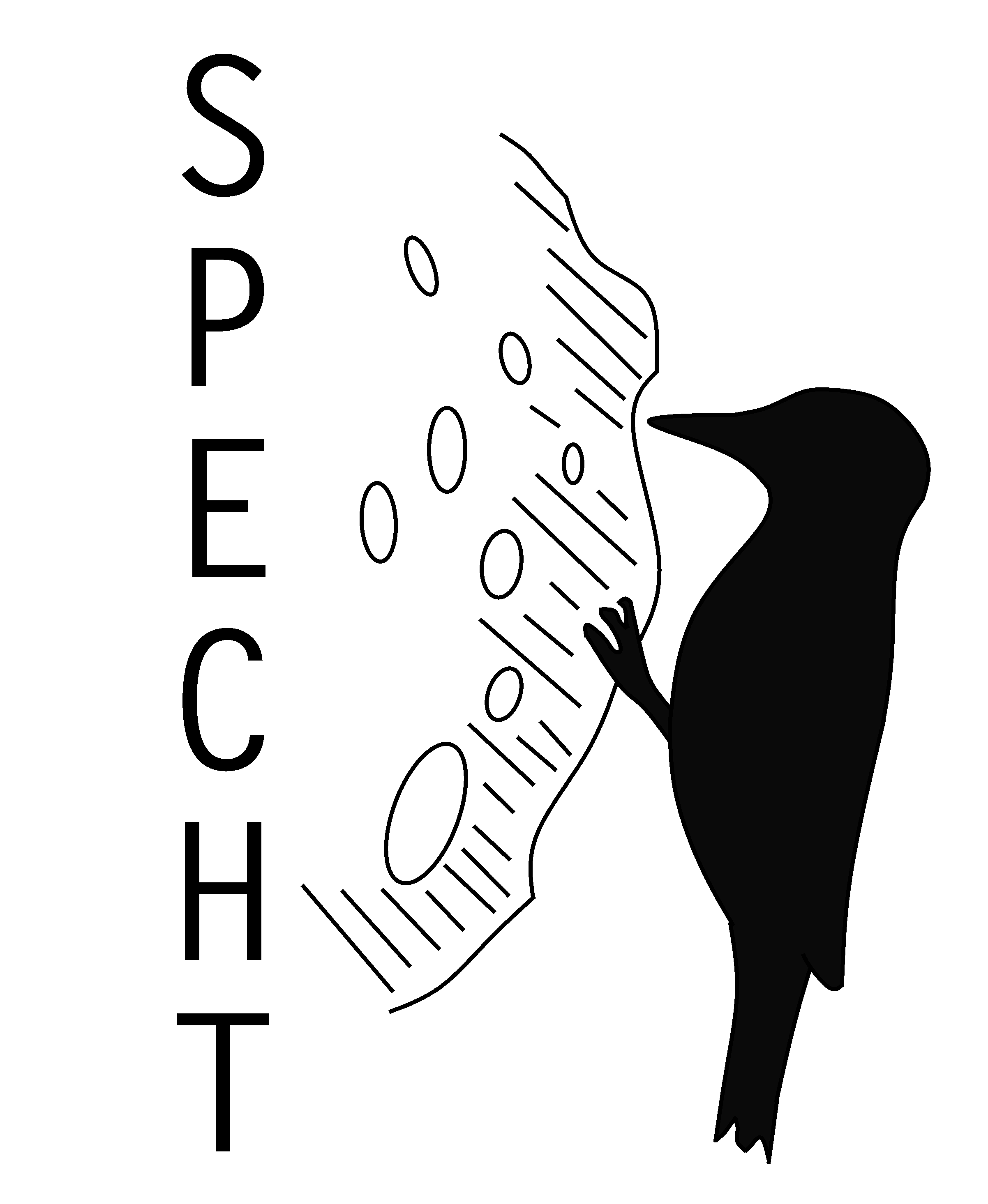 specht_logo_by_zanzalur-dccbuc9.png