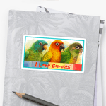 Sun Blue-Crowned Green-Cheeked Conures Realistic Painting Bird Gifts Sticker