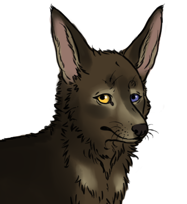 canine_charcater1_by_bekiss-dcfcj1f.png