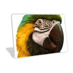 Blue and Gold Macaw Realistic Laptop Skin