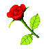rose_animated_by_imadering-d8dnogk.gif