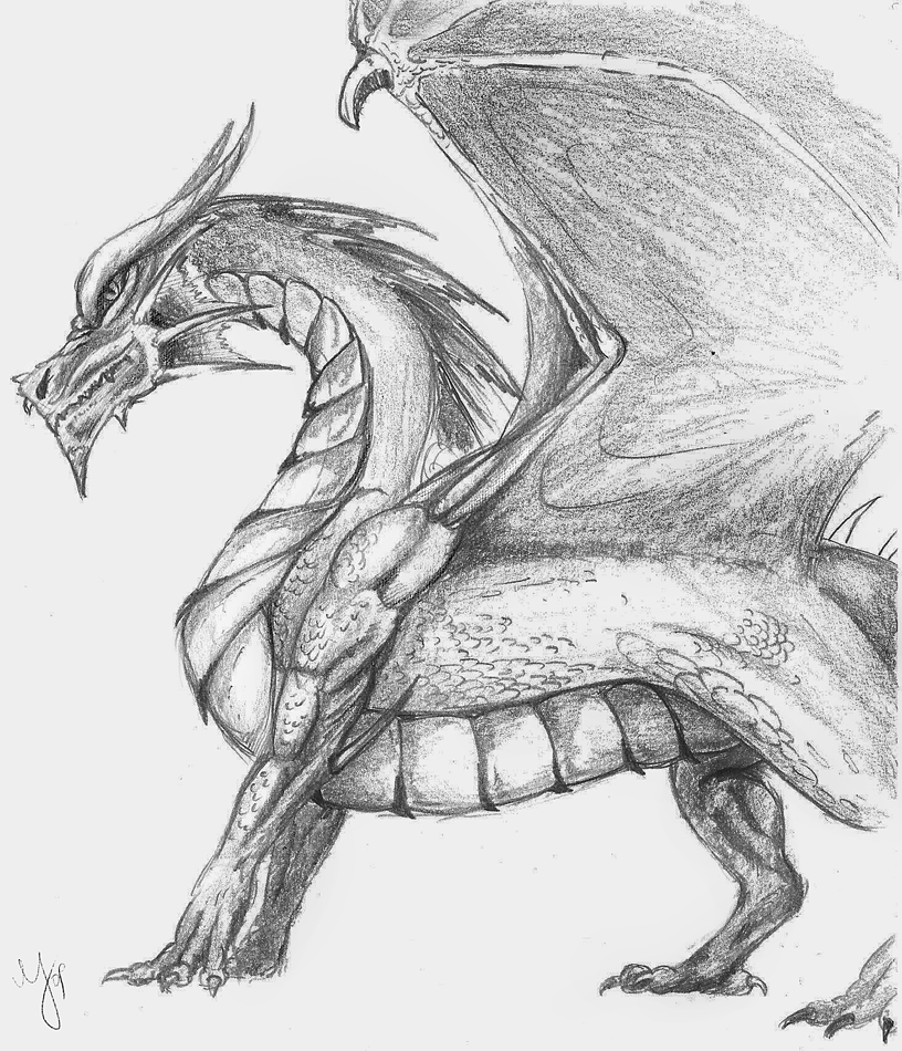Simple dragon sketch by MishaART on DeviantArt