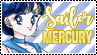Sailor Mercury by Weassleys