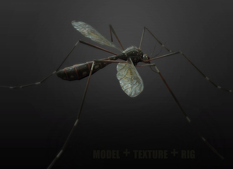 mosquito_by_felisberto-db6bw7x.jpg