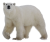 Polar Bear icon.3