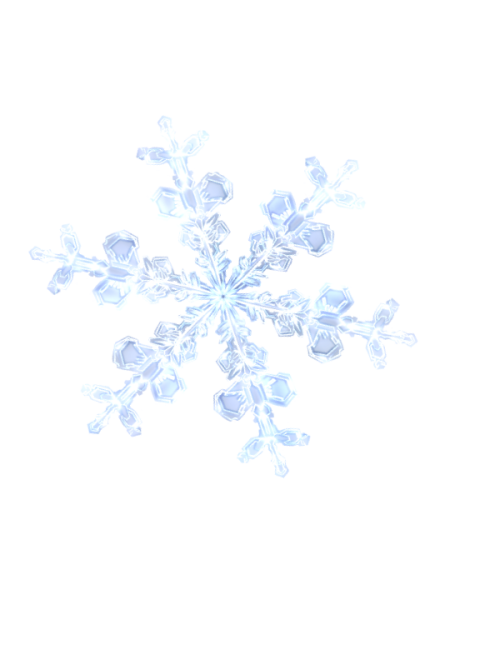 snowflake_vector_by_queen_of_ice101-dcfx
