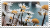 daisy_stamp_by_catstam-d9ssxpk.png