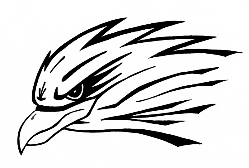 95 Sketsa Gambar Kepala Burung Elang HD