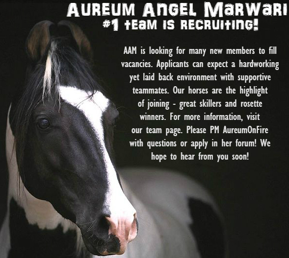 aureum_angel_marwari_recruitment_banner_by_shadowhunter10-dc71y80.jpg