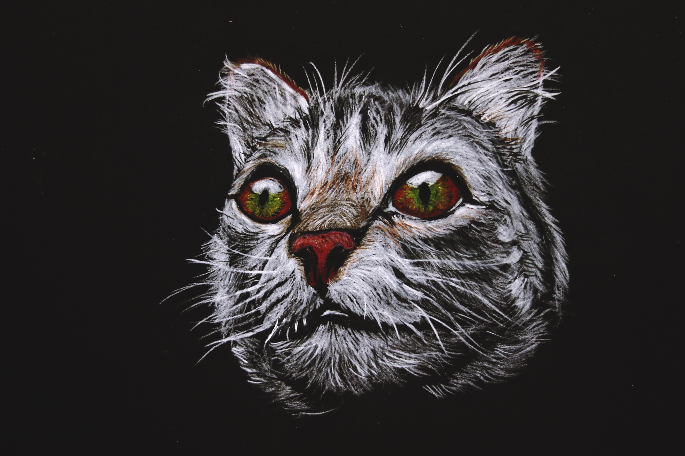 Colored Pencil Drawing 20 : The Cat by CelineHot on DeviantArt