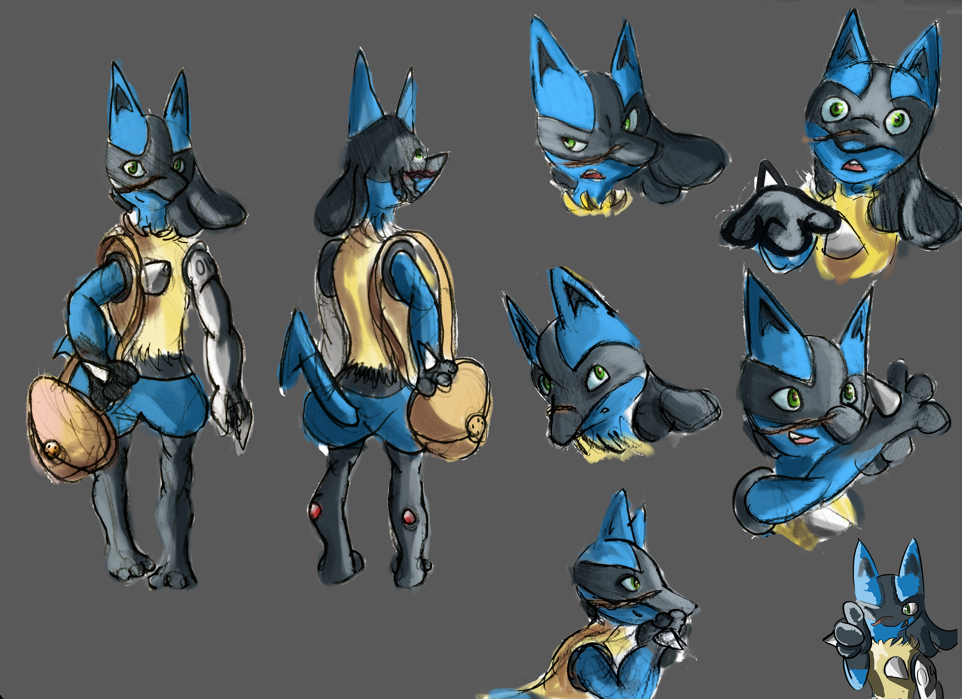 curio__lucario__reference_sheet_by_starlightcrux-dc0l31q.png