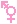 transfeminine {pink}