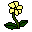 F2U - Little Yellow Flower