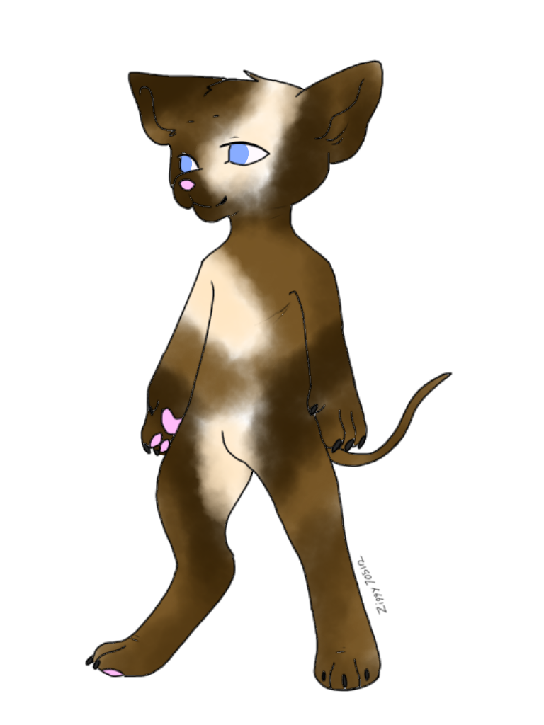 rocky_road_by_fluffykittenface-dcl5tex.png