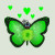 Green Butterfly by cutecolorful