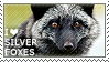 I love Silver Foxes by WishmasterAlchemist