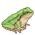 Frog (free to use) by Muzyun