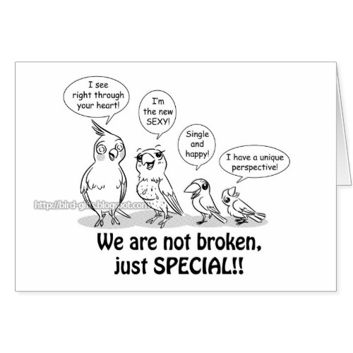 Special need birds greeting card