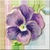 Vintage Pansy Icon - Left by Yesterdays-Paper