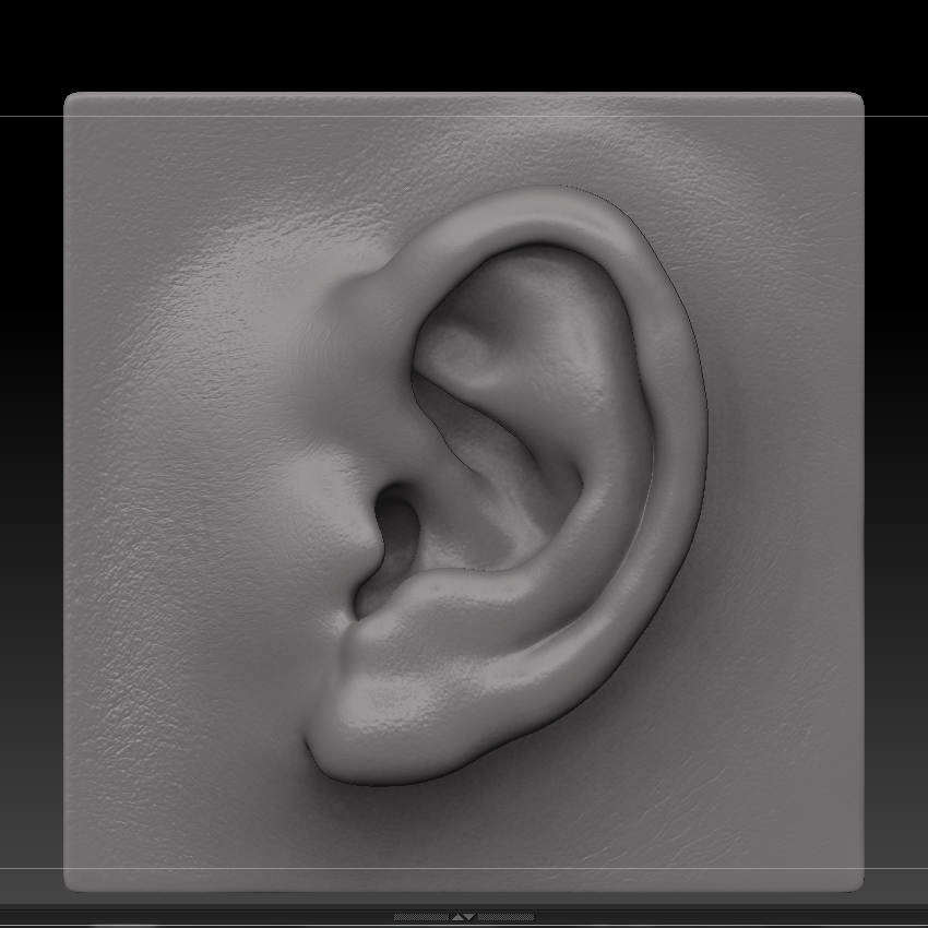copy and paste ear zbrush