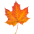 Autumn Leaf icon.4 by RedqueenAllison