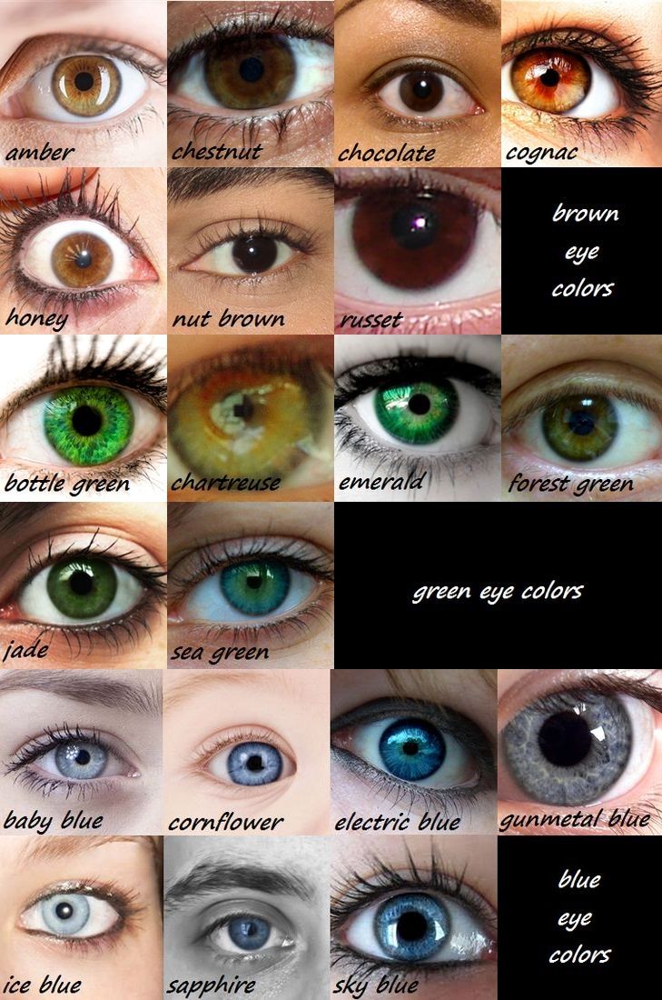 on twitter eye color chart eye color chart genetics eye - eye color ...