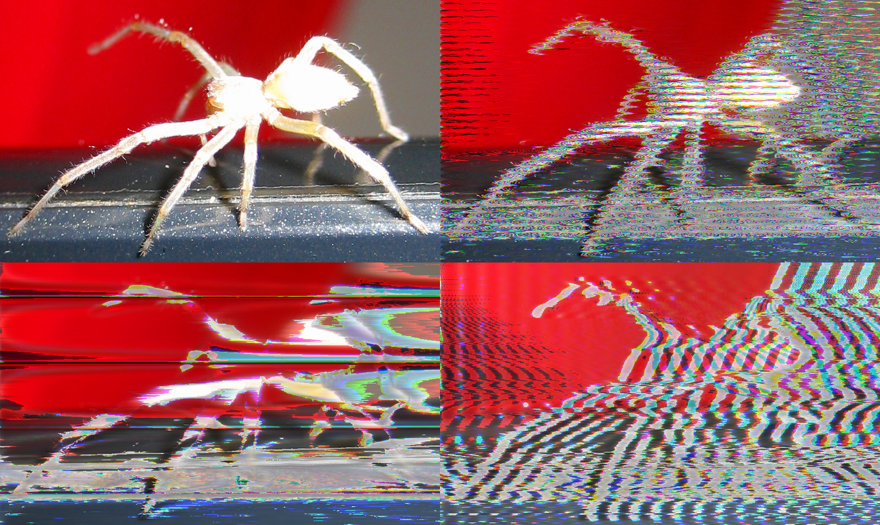 https://orig00.deviantart.net/8c42/f/2013/007/9/8/glitch_art_spider_by_qubodup-d5qqdkl.png