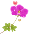 Purple flower by vafiehya