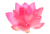 Flower Pixel By An Xi Ety-dbp9fti (1) by Feega