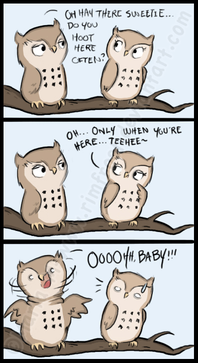 Flirten owl