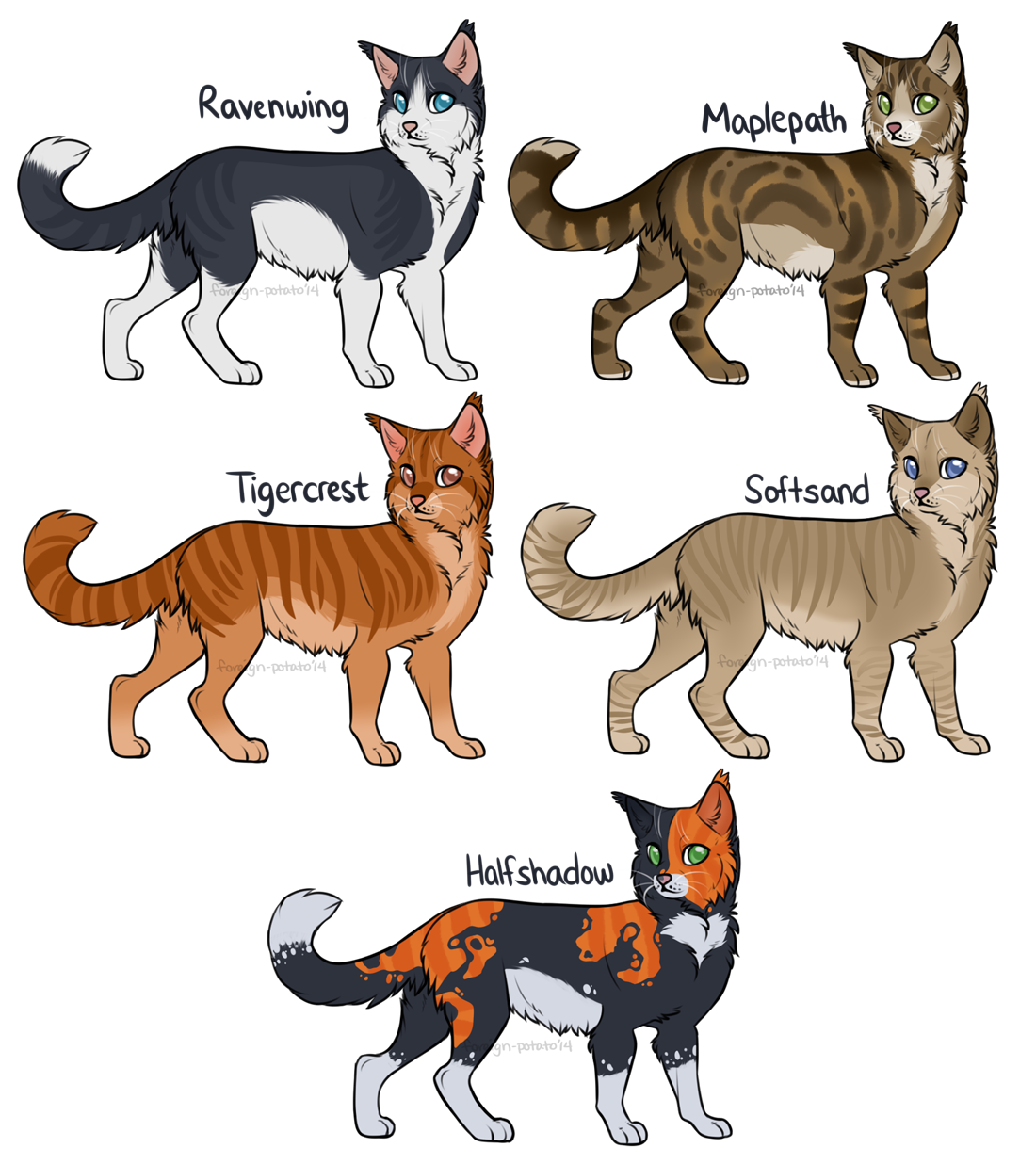 Kittens favourites by Akeela-Quill on DeviantArt
