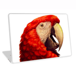 Scarlet Macaw Parrot Realistic Painting Laptop Skin