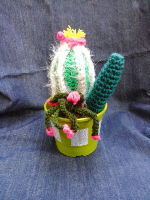 Maceta con cactus by Julia-EVS on DeviantArt