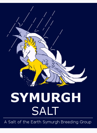 Salt-Umbrella-Symurgh by RavensMourn