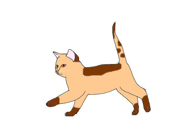 Gingerkit of TC Untitled_drawing_by_firedaisy365-dcbcp4r