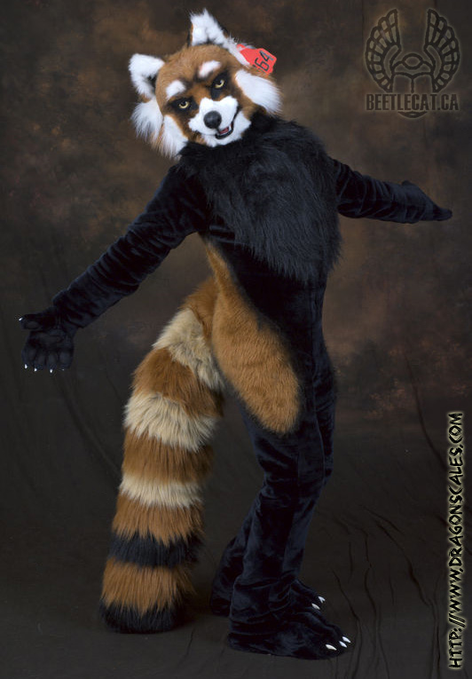 Red Panda Fursuit Costume by Beetlecat on DeviantArt