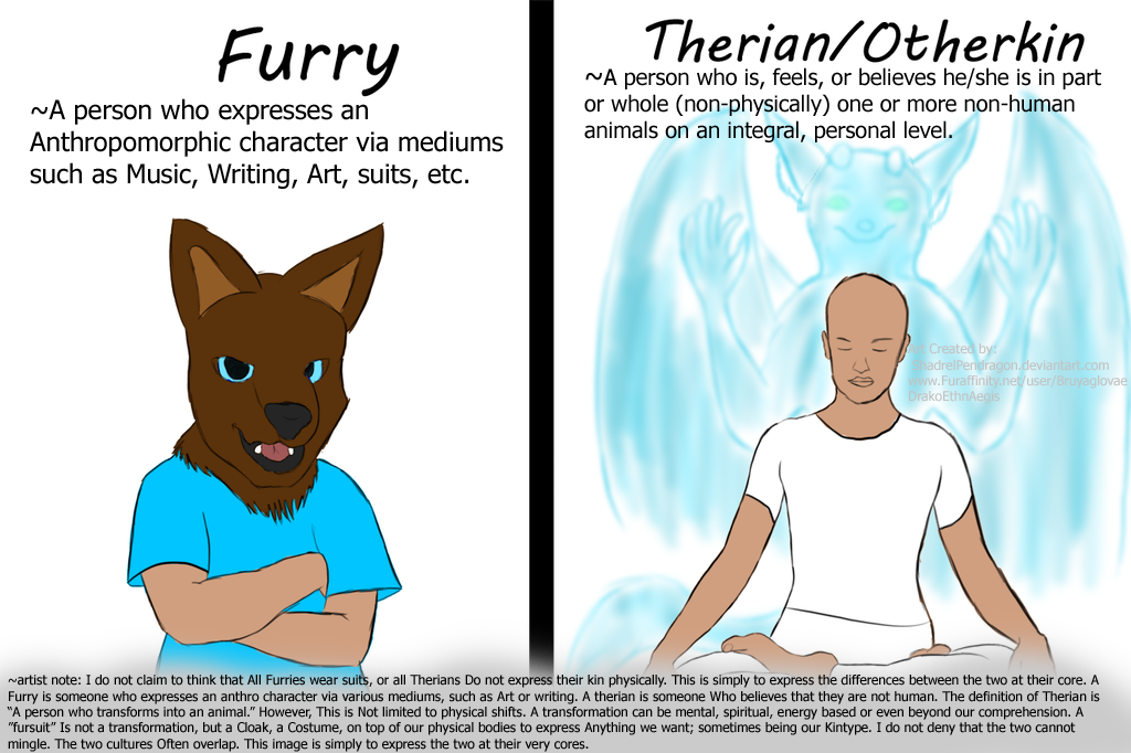 Que opináis de los Furry? Furry_vs_therian__clarification_notes__by_shadrelpendragon-d6pzk8t