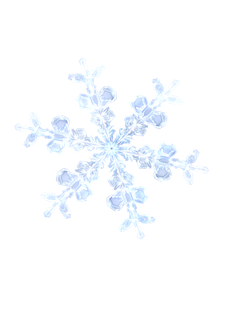 200x200_snowflake_by_queen_of_ice101-dcg