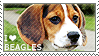 I love Beagles by WishmasterAlchemist