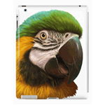 Blue and Gold Macaw Realistic iPad Case