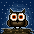 Owl night